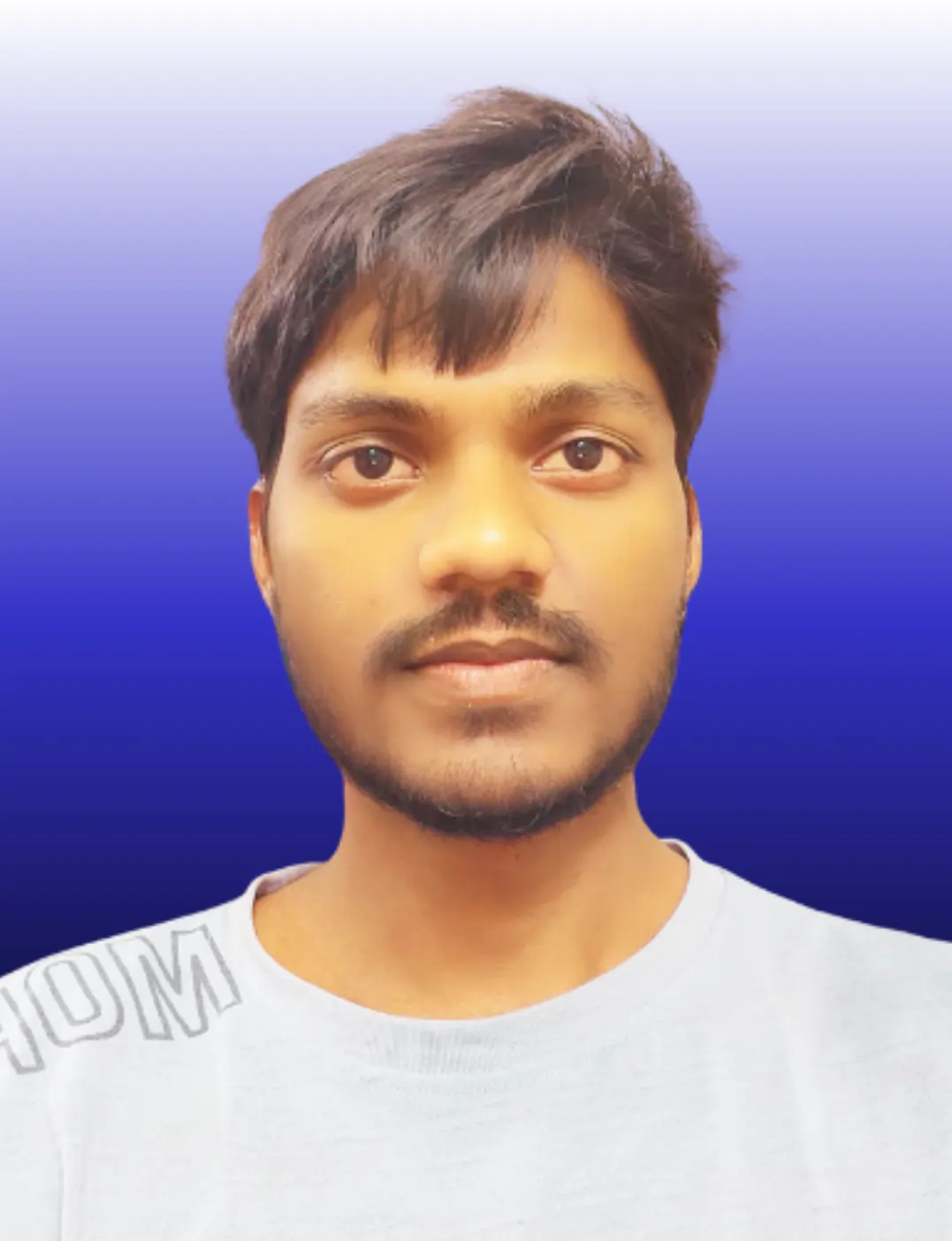 Shopify & WordPress Developer